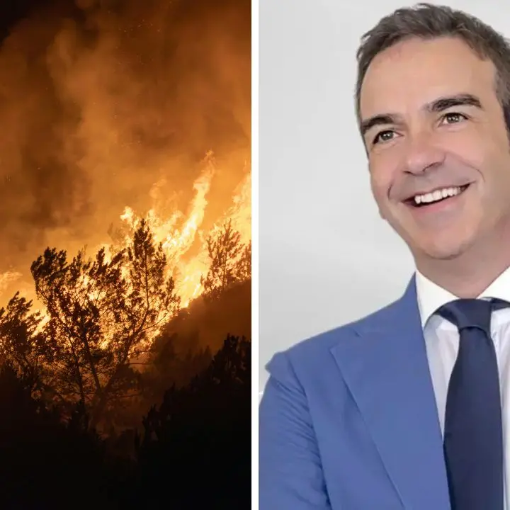 Morano Calabro, 56enne arrestato in flagranza per incendio boschivo dai Carabinieri Forestali. Roberto Occhiuto: «Piromani nemici della Calabria»\n