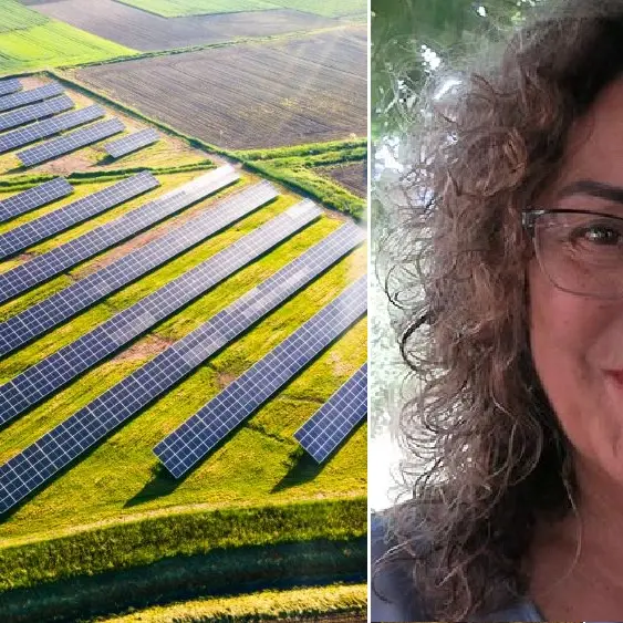 Fotovoltaico sulla Piana degli Scrisi, il Pd di Vibo chiama il gruppo dem in Consiglio regionale: «Ora serve un’azione politica forte»\n