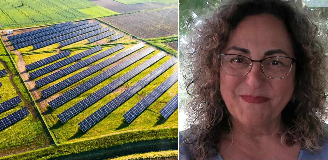 Fotovoltaico sulla Piana degli Scrisi, il Pd di Vibo chiama il gruppo dem in Consiglio regionale: «Ora serve un’azione politica forte»\n