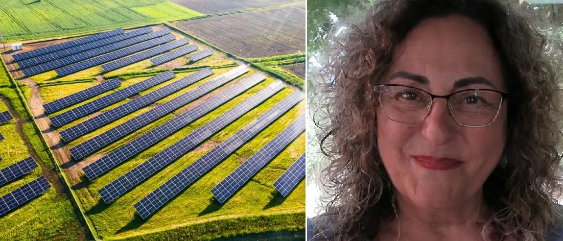 Fotovoltaico sulla Piana degli Scrisi, il Pd di Vibo chiama il gruppo dem in Consiglio regionale: «Ora serve un’azione politica forte»\n