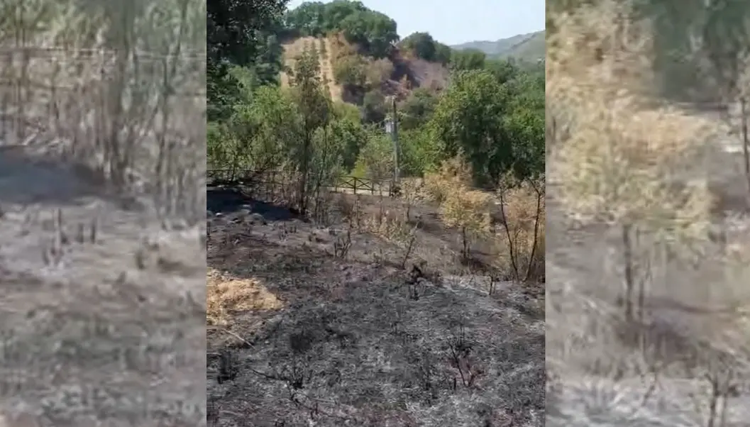 Incendio Dinami