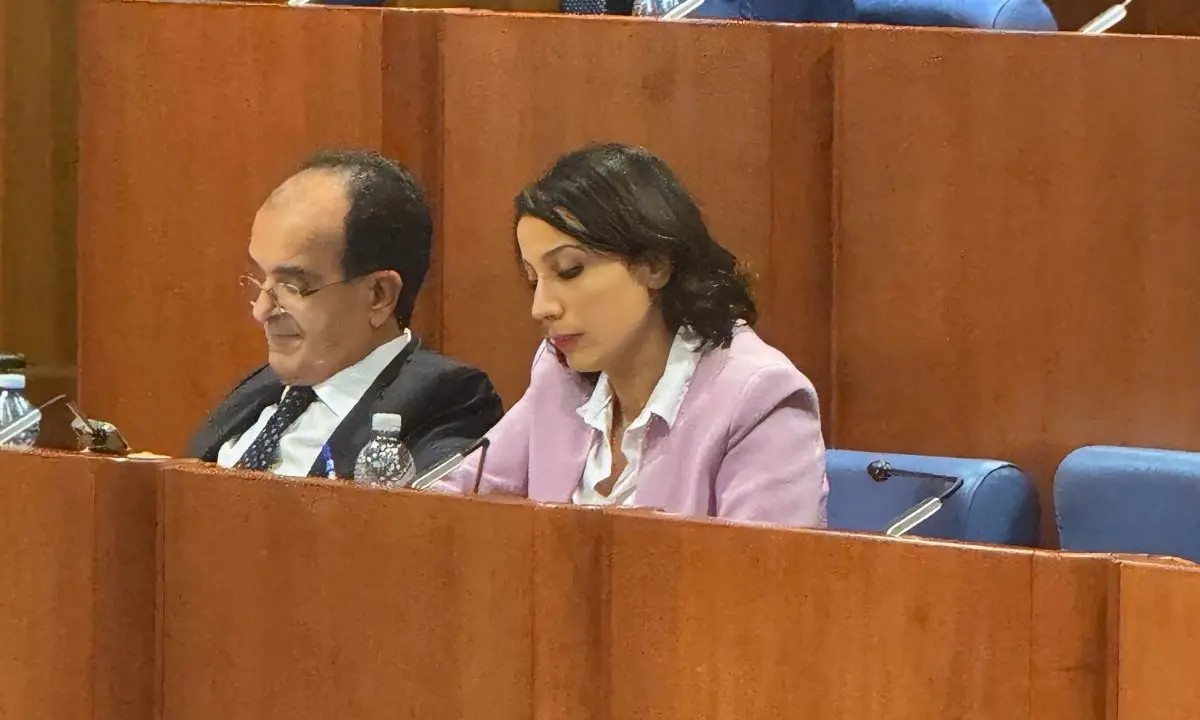 Sibaritide, il Consiglio regionale fa fronte comune sui treni: sì al potenziamento della linea per Paola\n