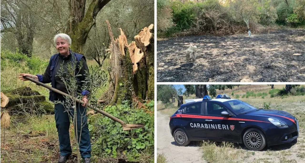 Ennesima intimidazione a Patrizia Rodi Morabito: «Atti che non portano a niente, solo a distruggere»\u00A0\n