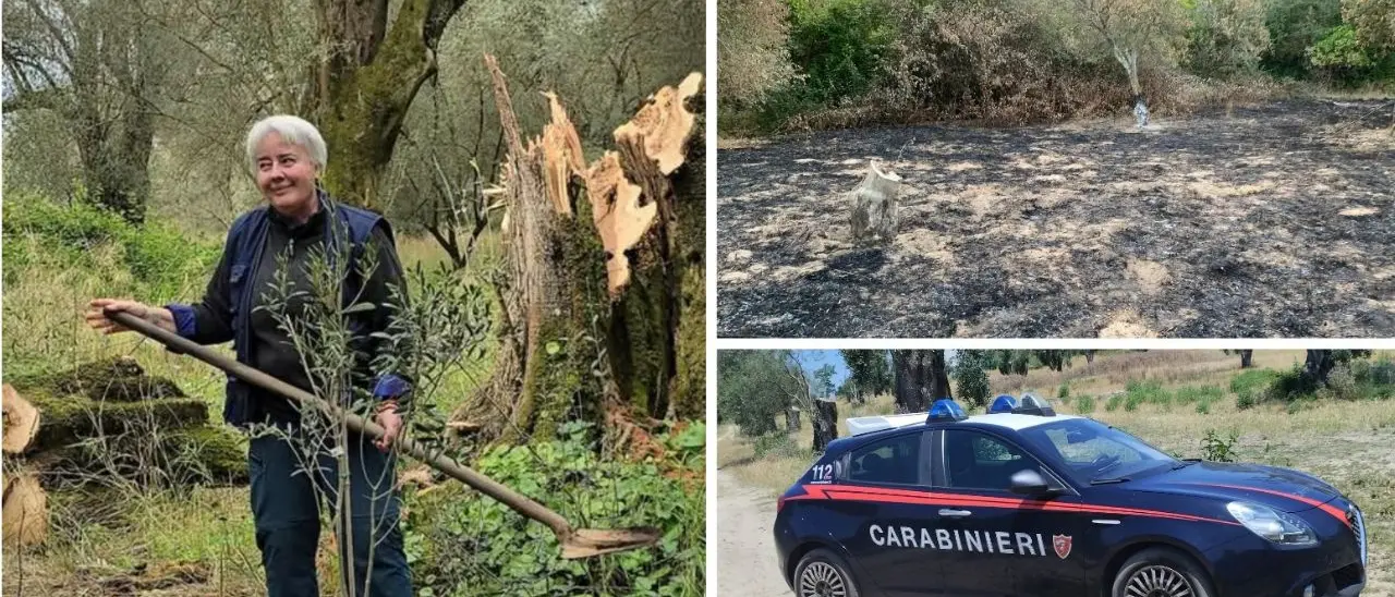 Ennesima intimidazione a Patrizia Rodi Morabito: «Atti che non portano a niente, solo a distruggere»\u00A0\n