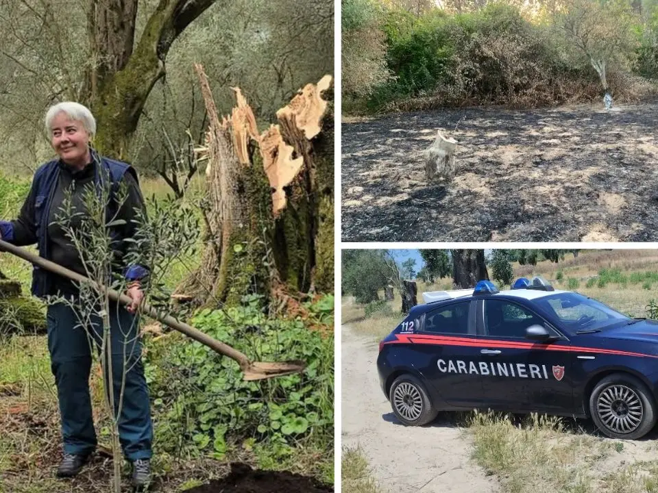 Ennesima intimidazione a Patrizia Rodi Morabito: «Atti che non portano a niente, solo a distruggere»