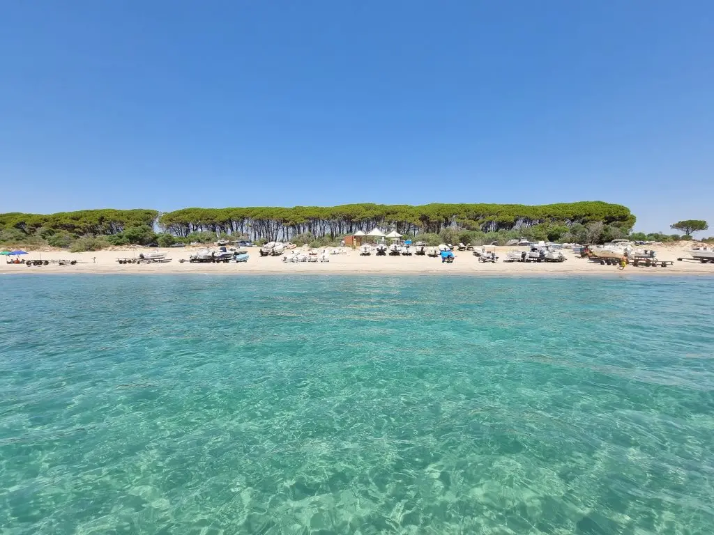Sellia Marina, dove l'eleganza del mare racconta la Calabria più autentica\n