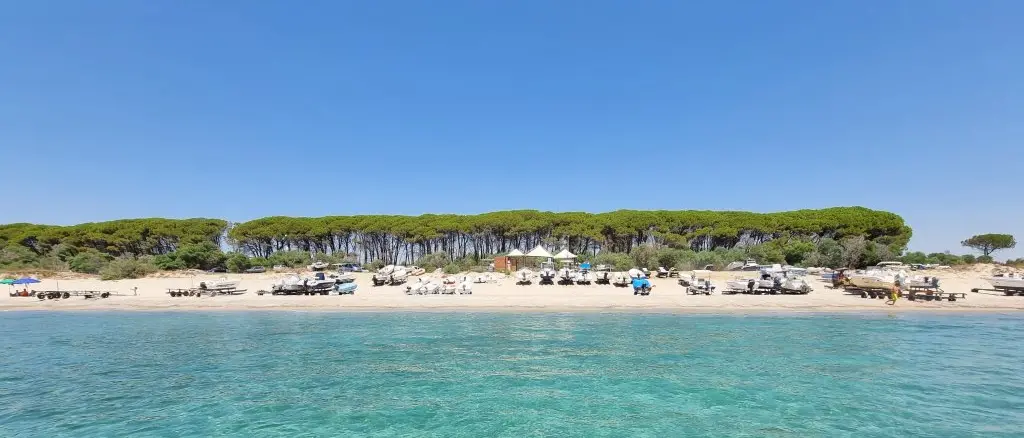 Sellia Marina, dove l'eleganza del mare racconta la Calabria più autentica\n