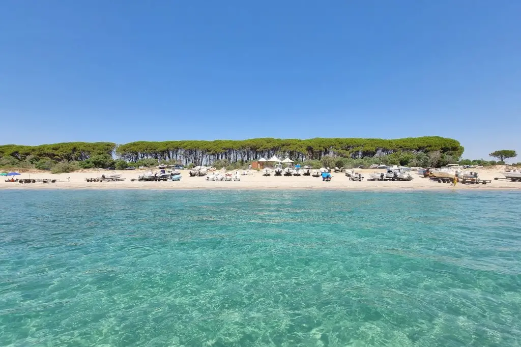 Sellia Marina, dove l'eleganza del mare racconta la Calabria più autentica\n