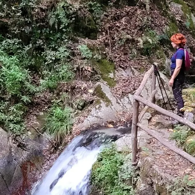 La Scialata, il sentiero delle cascate nel cuore dell'Aspromonte: un'oasi tra boschi, ponti e torrenti\n