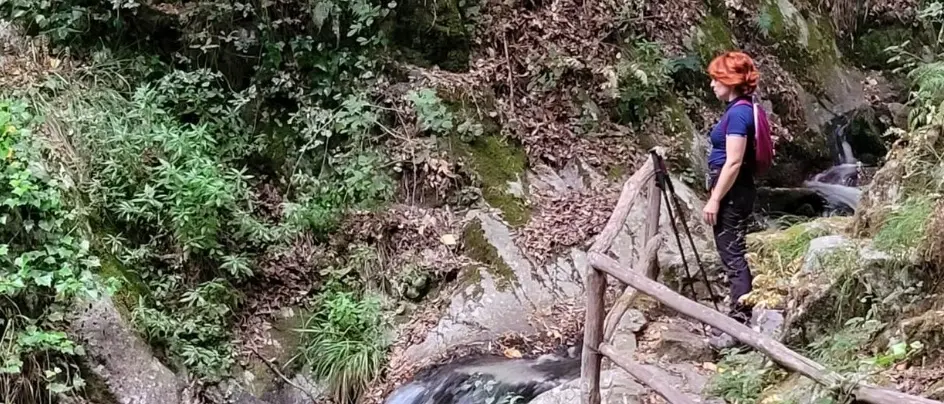La Scialata, il sentiero delle cascate nel cuore dell'Aspromonte: un'oasi tra boschi, ponti e torrenti\n