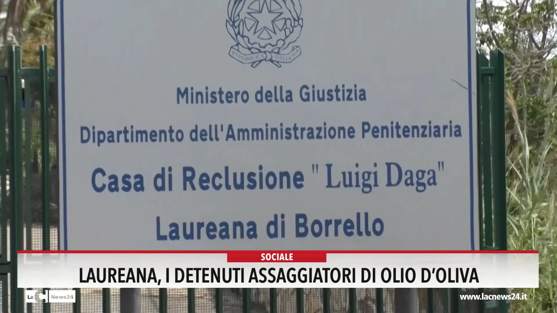 Laureana, i detenuti assaggiatori di olio d'oliva
