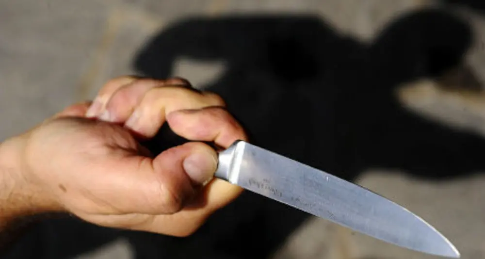 Mammola, accoltella un uomo alla gola durante un litigio per futili motivi:\u00A060enne arrestato\u00A0\n