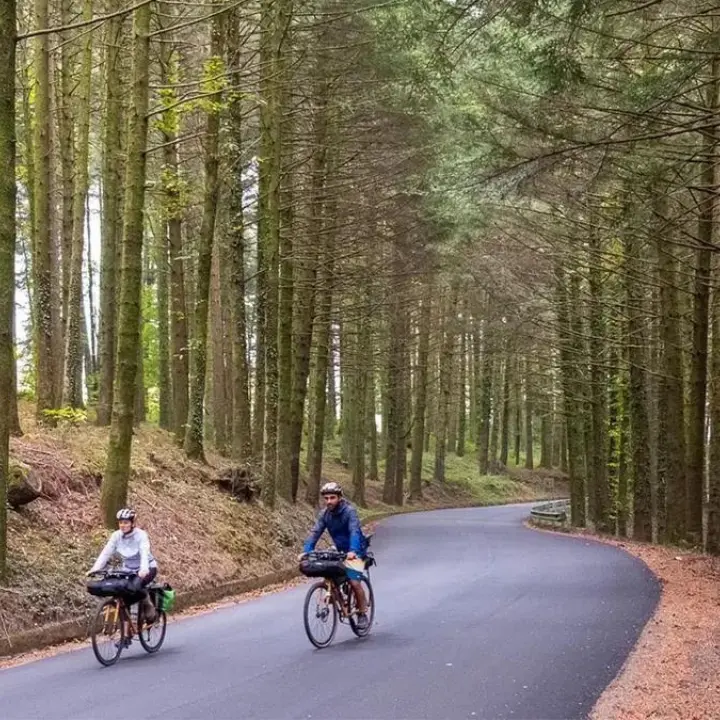 Ciclovia vibonese, al via i lavori di riqualificazione tra Fabrizia e Serra: oltre mezzo milione di euro per 160 chilometri\n