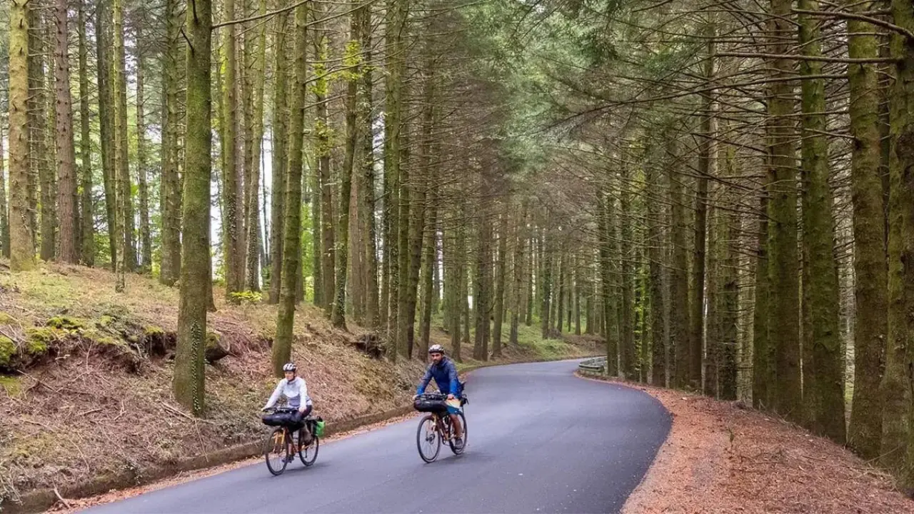 Ciclovia vibonese, al via i lavori di riqualificazione tra Fabrizia e Serra: oltre mezzo milione di euro per 160 chilometri\n