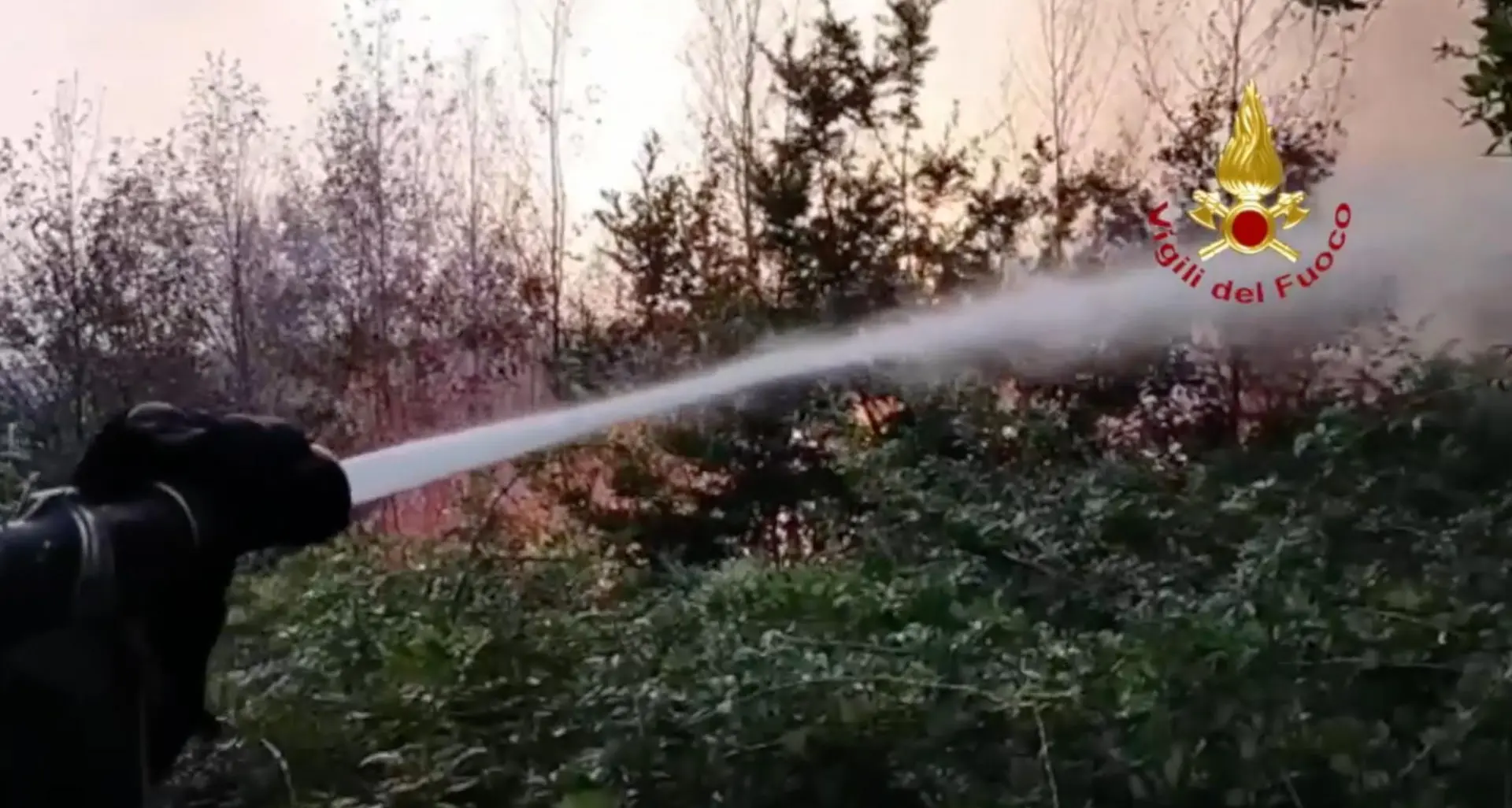 Vasto incendio nel Cosentino, le fiamme vicine ad alcune case e al cimitero di\u00A0di Santa Maria del Cedro\n