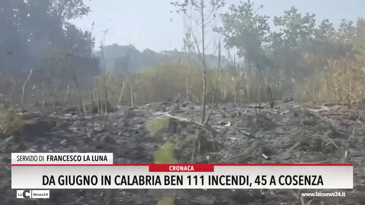 Da giugno in Calabria ben 111 incendi: 45 a Cosenza