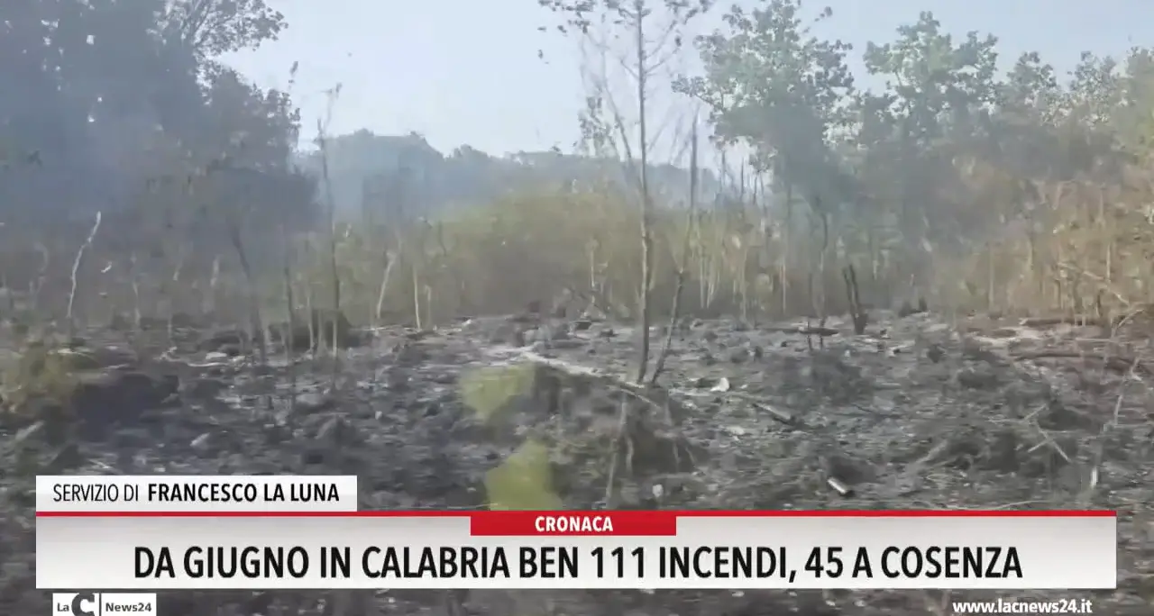 Da giugno in Calabria ben 111 incendi: 45 a Cosenza
