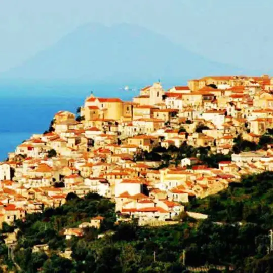 Passi in avanti a Nicotera per il “Giardino della libertà” su un terreno confiscato alla ‘ndrangheta\n