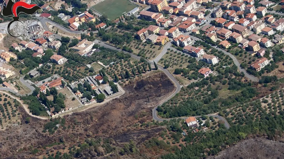 <p>La superficie percorsa dalle fiamme in prossimità dell'abitato di Morano Calabro</p>\\n