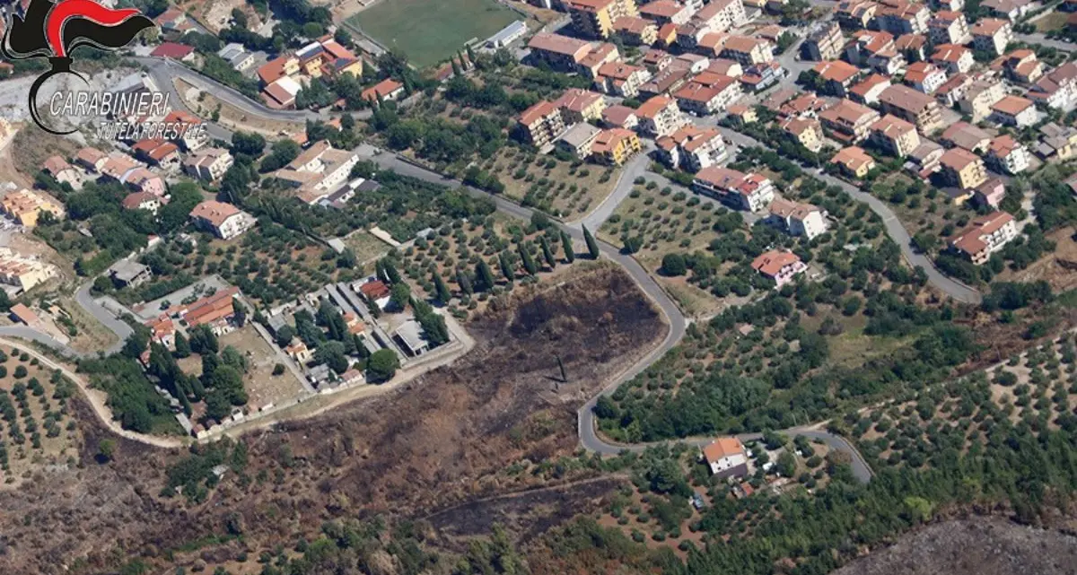 Incendio boschivo a Morano Calabro, convalidato l’arresto del 56enne: resta in carcere\n