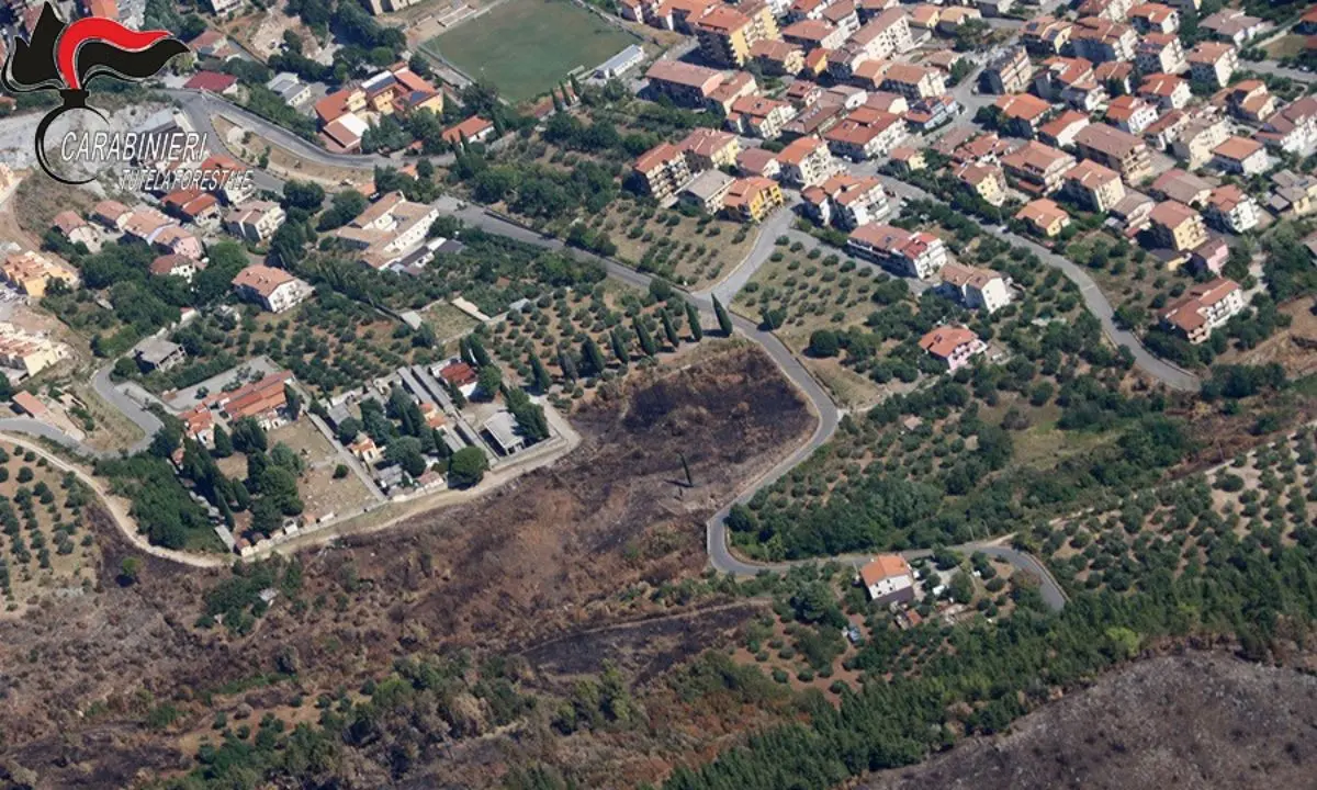 Incendio boschivo a Morano Calabro, convalidato l’arresto del 56enne: resta in carcere\n