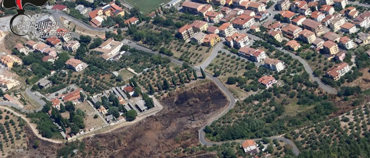 Incendio boschivo a Morano Calabro, convalidato l’arresto del 56enne: resta in carcere\n