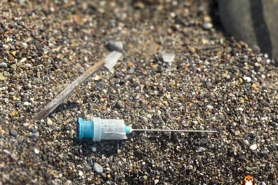 Praia a Mare, ago di siringa abbandonato sulla spiaggia: la segnalazione di una residente\n