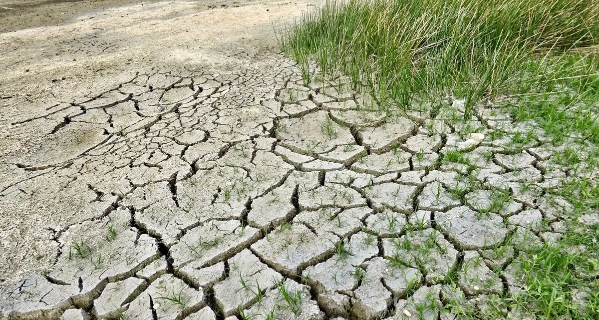 Siccità, l’Italia rischia 74 miliardi di euro: quasi un milione di posti di lavoro in fumo\n