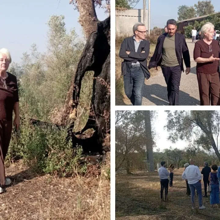 Patrizia Rodi Morabito dopo il rogo a Rosarno: «Non mollo, qui sono a casa mia e sto facendo ciò che è giusto»\n