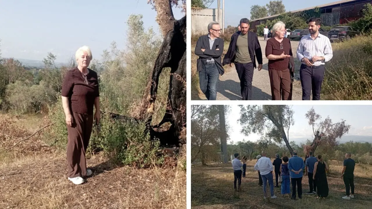 <p>Patrizia Rodi Morabito dopo il rogo a Rosarno: «<span style=\"color:hsl(0, 75%, 60%);\">Non mollo</span>, qui sono a casa mia e sto facendo ciò che è giusto»</p>