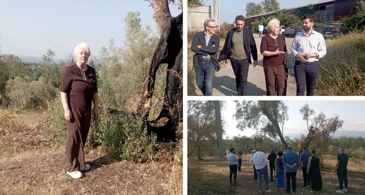 Patrizia Rodi Morabito dopo il rogo a Rosarno: «Non mollo, qui sono a casa mia e sto facendo ciò che è giusto»\n