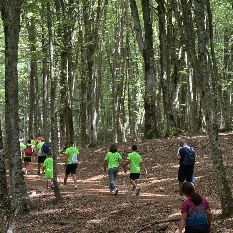 Parco d’Aspromonte, il viaggio della Marcialonga tra le bellezze del bosco e il percorso di tutta la comunità\n