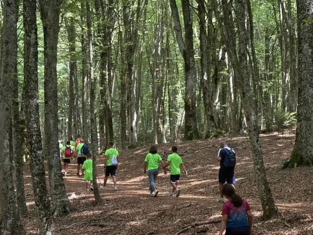 Parco d’Aspromonte, il viaggio della Marcialonga tra le bellezze del bosco e il percorso di tutta la comunità\n