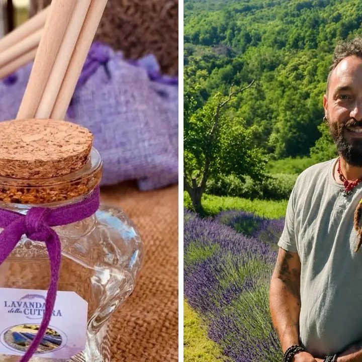 Lascia Roma, torna in Calabria e sceglie la lavanda: «Voglio rispettare i tempi della natura»\n