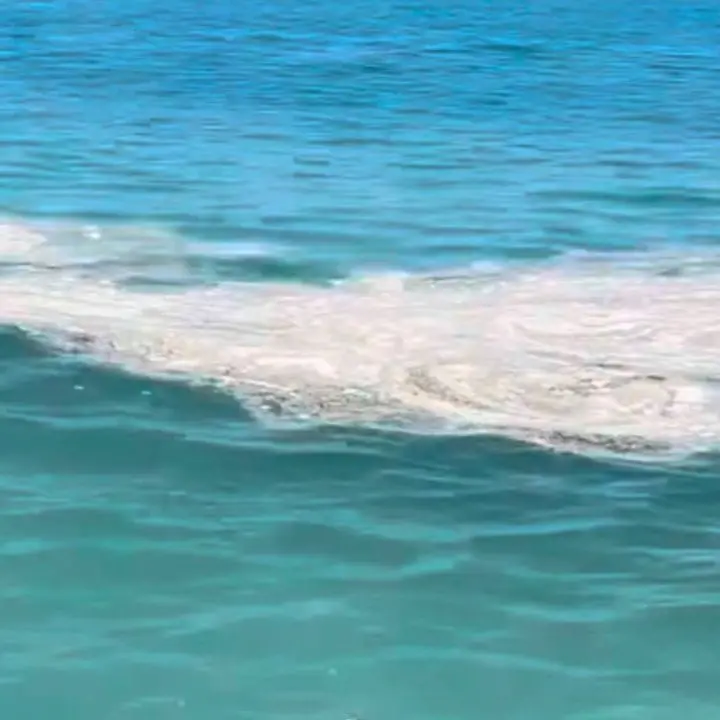«Mare sporco a Paola», Di Natale chiede controlli e chiarezza sulle cause\n