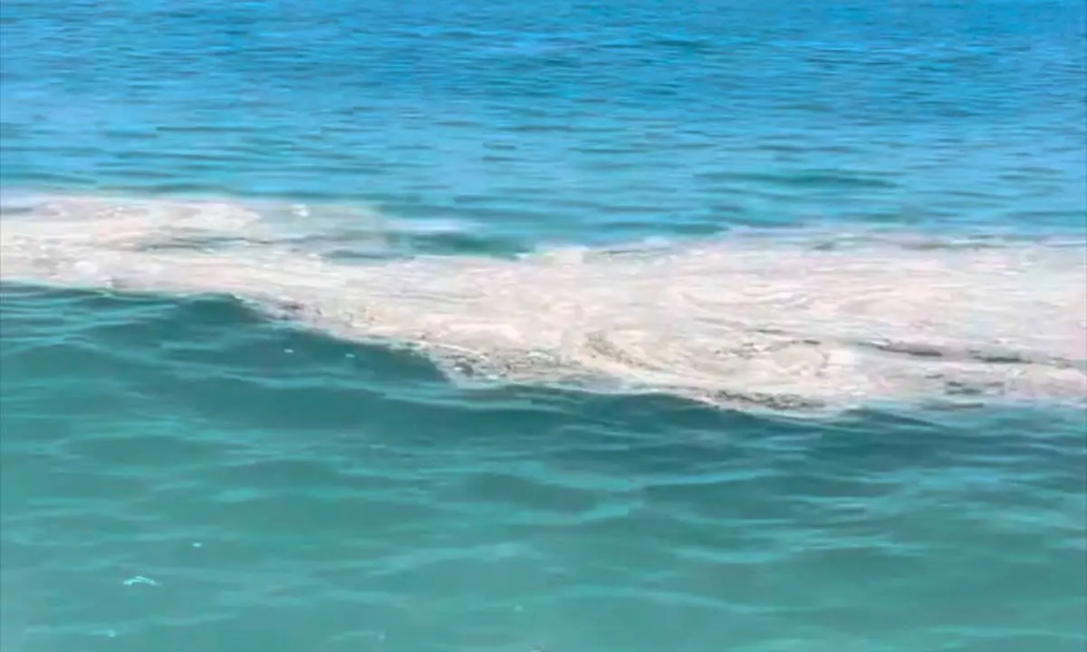 «Mare sporco a Paola», Di Natale chiede controlli e chiarezza sulle cause\n