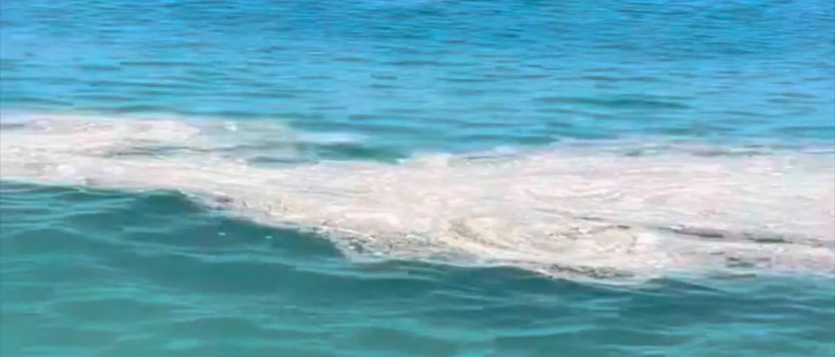 «Mare sporco a Paola», Di Natale chiede controlli e chiarezza sulle cause\n