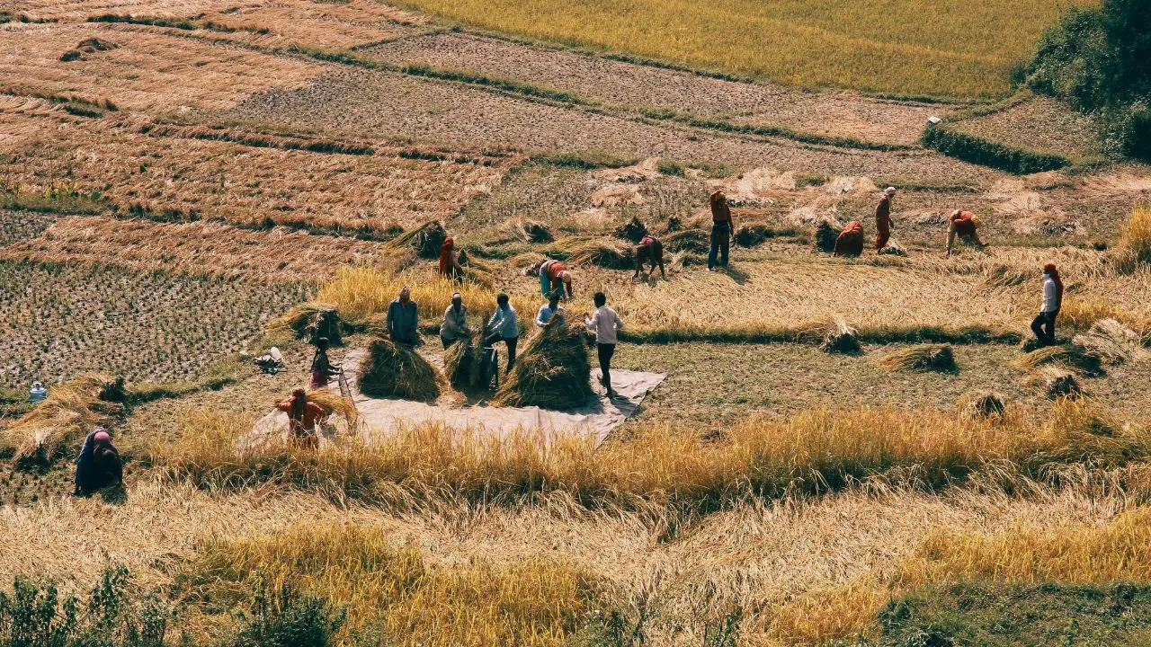 <p>Lavoro nero e caporalato, <span style=\"color:hsl(0, 75%, 60%);\">controlli a tappeto </span>anche in Calabria: nel 2025 irregolare il 69% delle aziende</p>