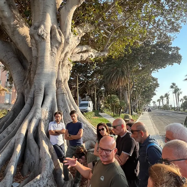 Reggio, La Strada: «Dal cammino urbano sotto gli alberi del Lungomare, una riflessione sul verde urbano come infrastruttura al servizio del benessere collettivo»\n