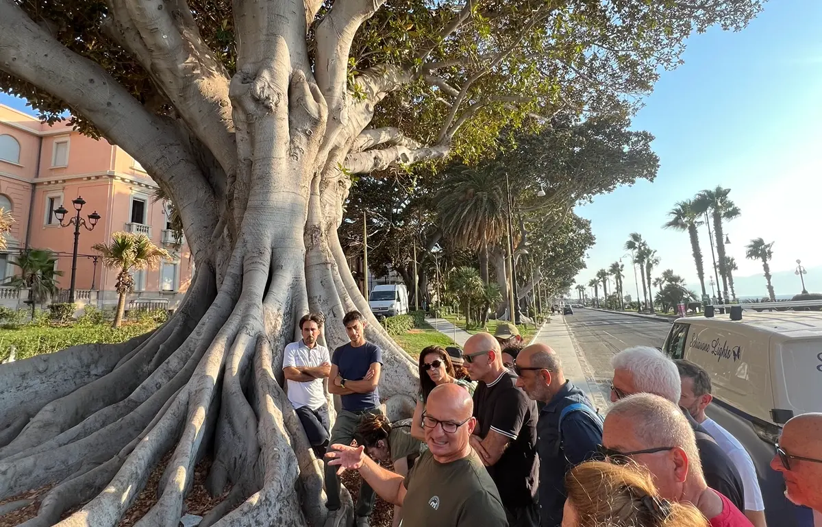 Reggio, La Strada: «Dal cammino urbano sotto gli alberi del Lungomare, una riflessione sul verde urbano come infrastruttura al servizio del benessere collettivo»\n