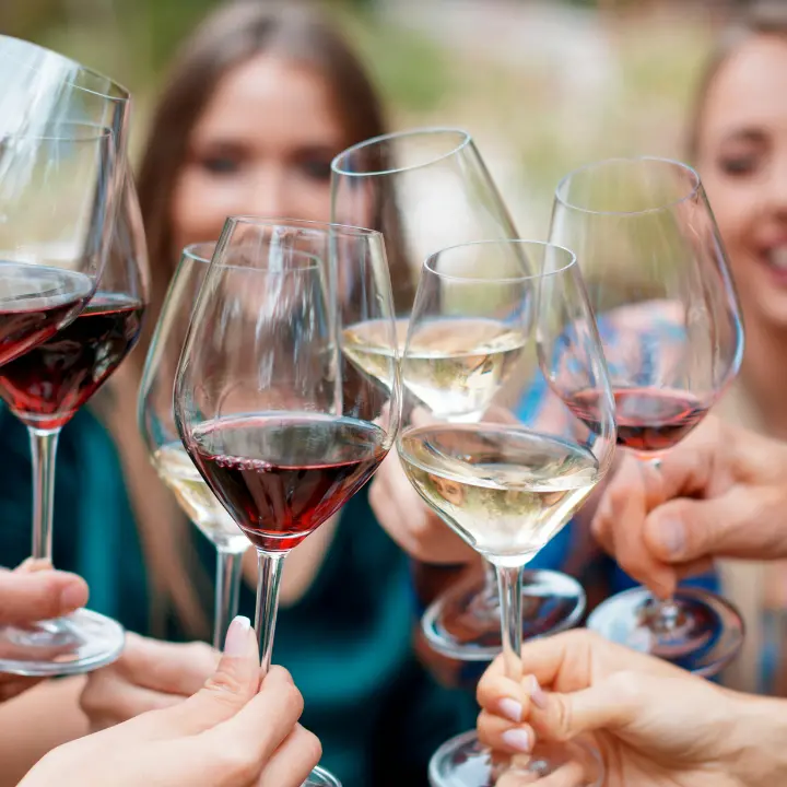 Vigneti calabresi 3,5 gradi più caldi della Champagne: la nuova mappa mondiale del vino\n