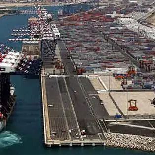 <p>Sequestrati oltre 250 chili di cocaina al porto di Gioia Tauro, due arresti</p>