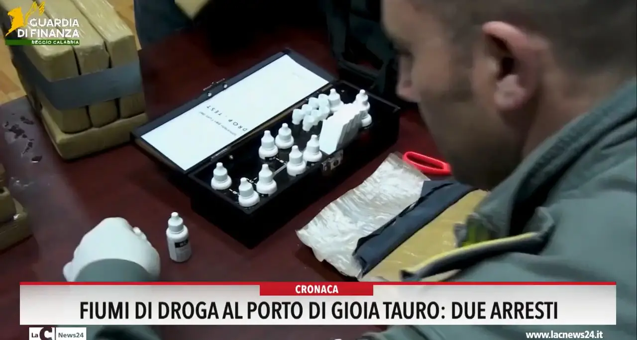 Fiumi di droga al porto di Gioia Tauro, due arresti