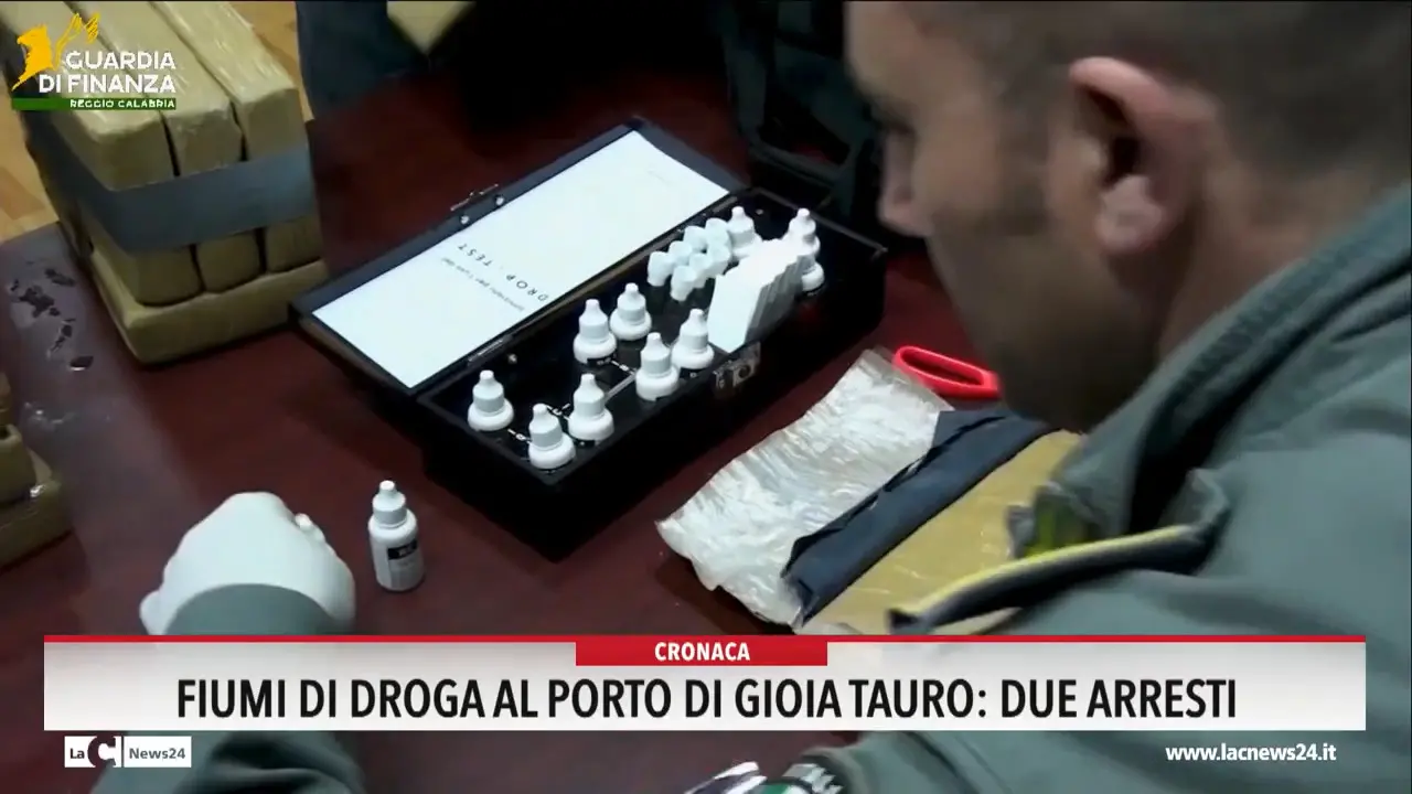 Fiumi di droga al porto di Gioia Tauro, due arresti