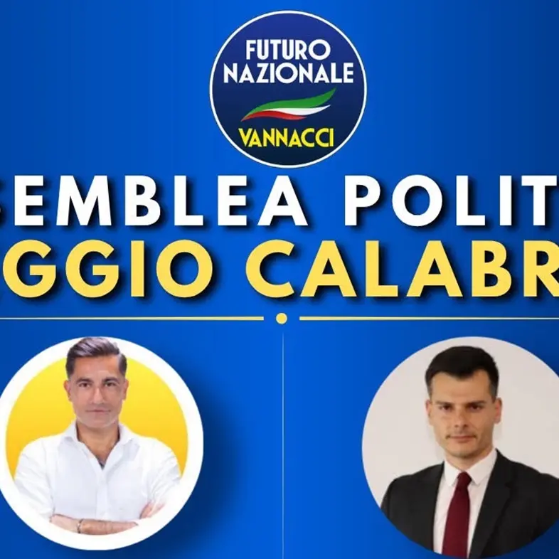 Futuro Nazionale Calabria,\u00A0assemblea politica a Villa San Giovanni con gli onorevoli Furgiuele e Ziello\n