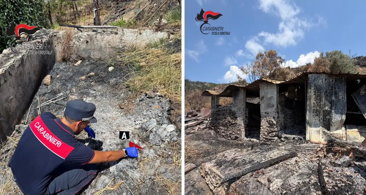 Bonifati, fuoco vicino all’ovile: incendio su dieci ettari, denunciato dai Forestali\n