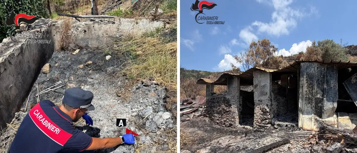 Bonifati, fuoco vicino all’ovile: incendio su dieci ettari, denunciato dai Forestali\n