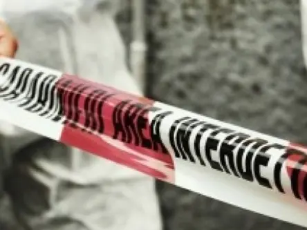 Omicidio a Cutro, Sulla non risponde al pm: Carabinieri a caccia della pistola con cui il killer ha ucciso il cameriere 21enne