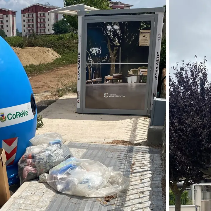 Vibo, abbandonano rifiuti al Parco urbano ma vengono scoperti: decisivi i controlli nelle buste e le telecamere\n