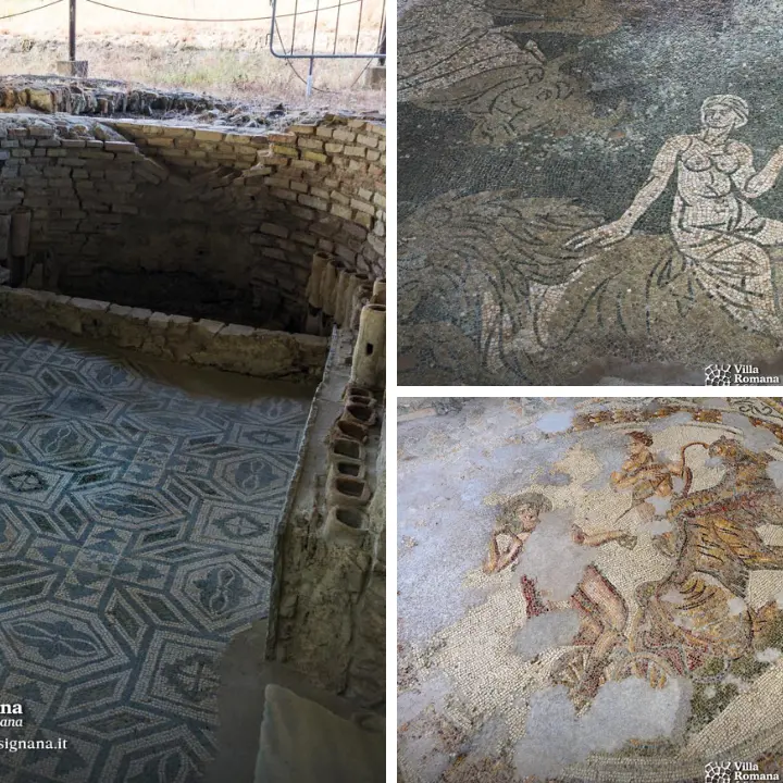 Villa Romana di Casignana, il tesoro della Calabria dove i mosaici raccontano la vita dei patrizi\n